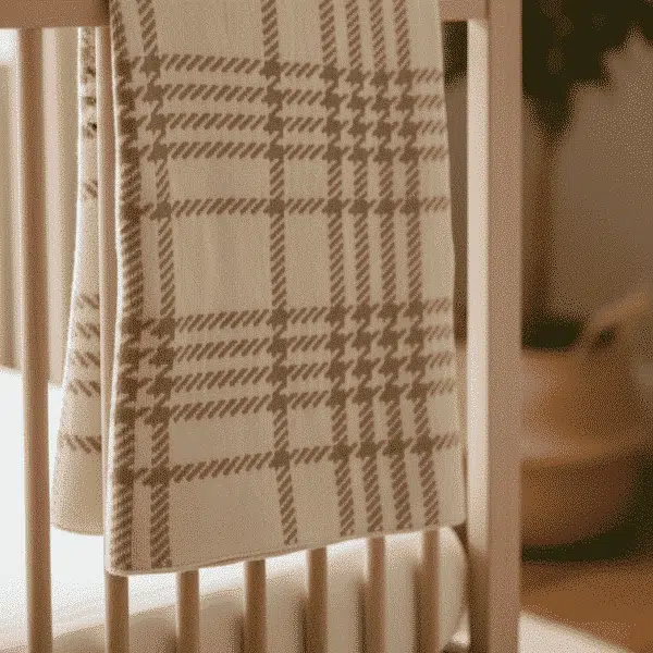 The Plaid Blanket The Plaid Blanket