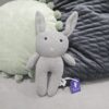 The Grey Bunny