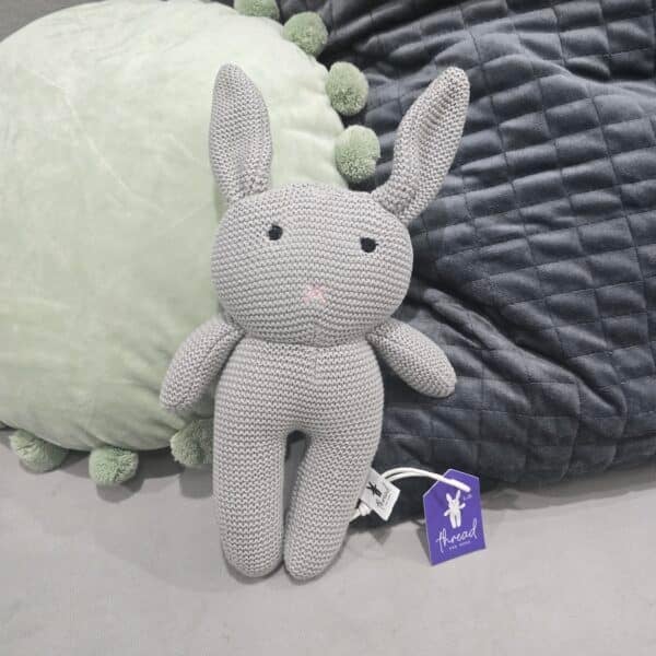 The Grey Bunny
