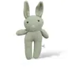 The Sage Bunny
