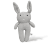 The Grey Bunny