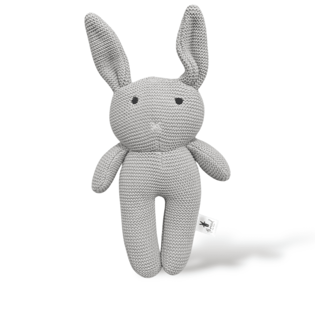 The Grey Bunny