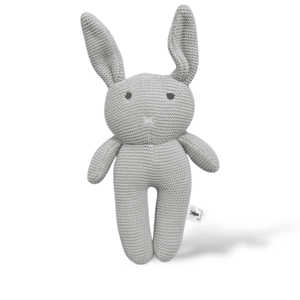 The Grey Bunny