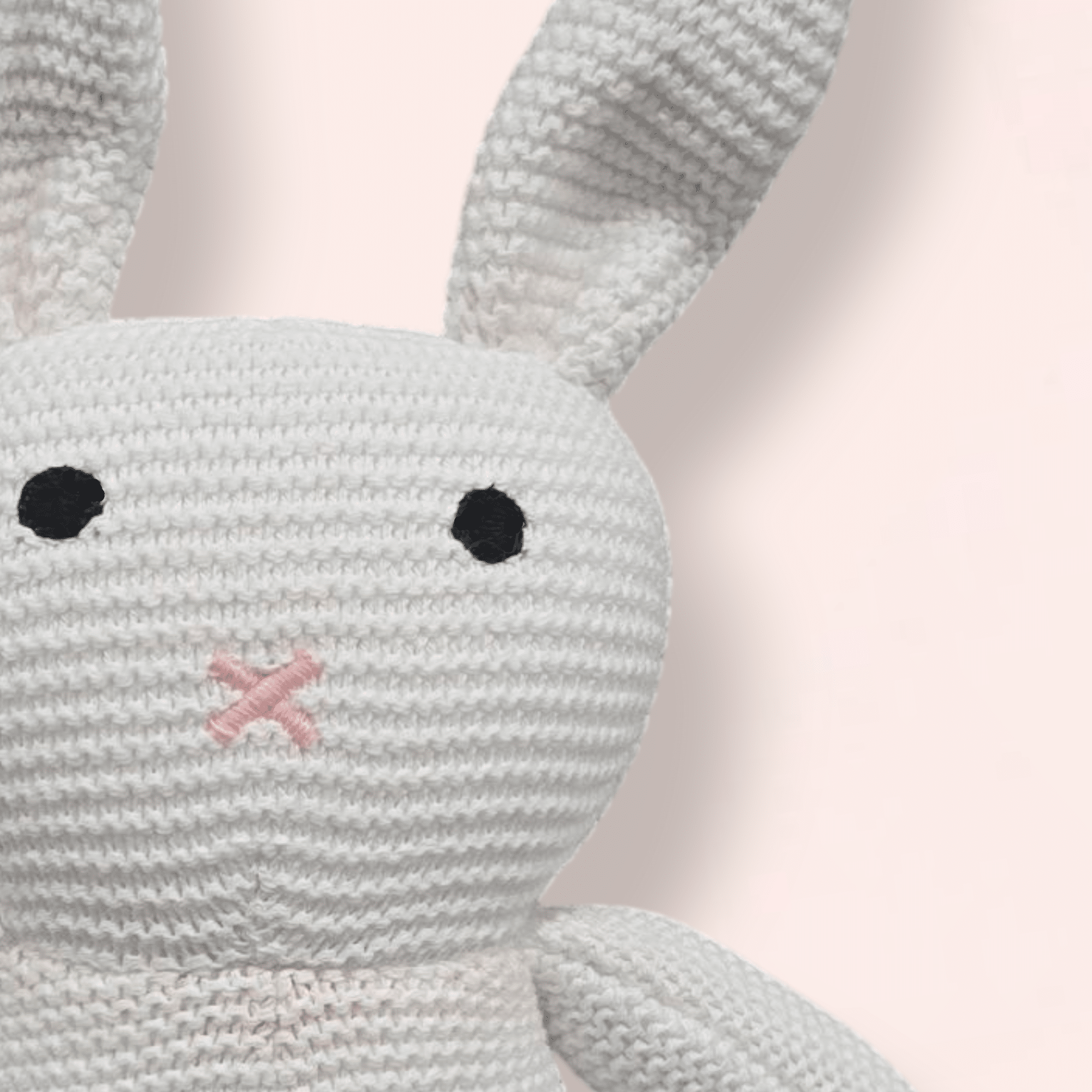 The White Bunny