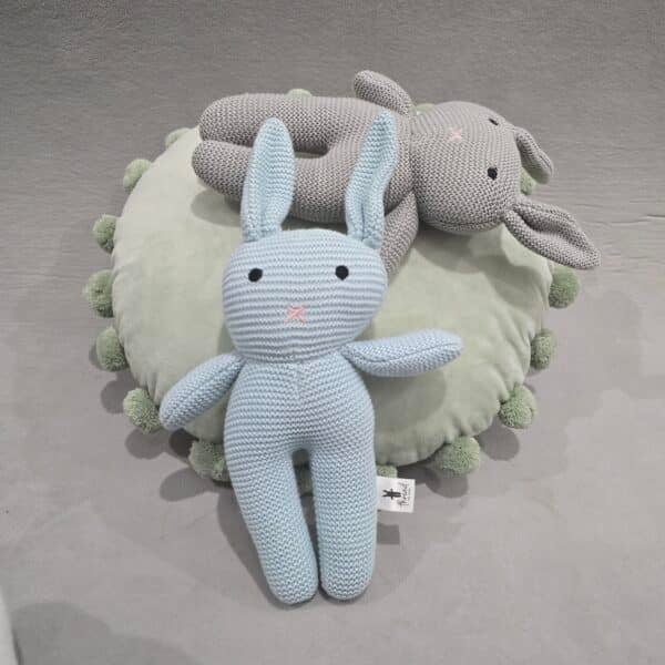 The Blue Bunny