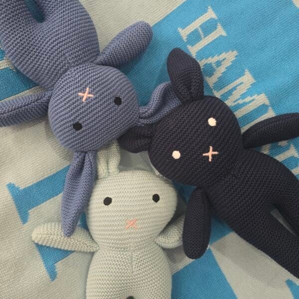 The Blue Bunny