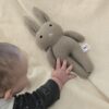 The Beige Bunny