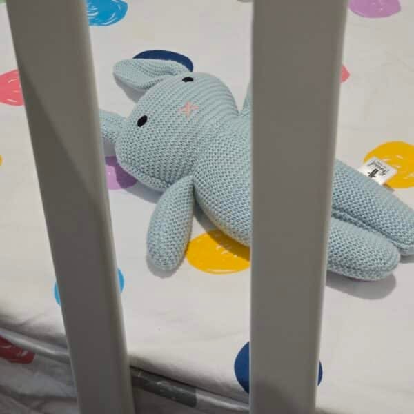 The Blue Bunny