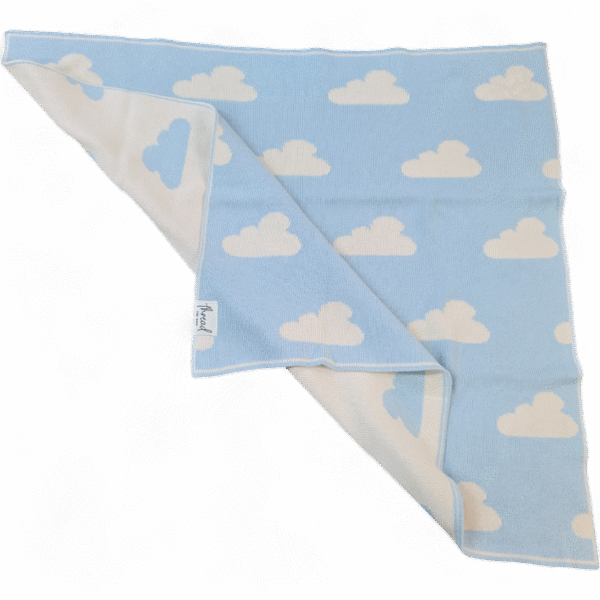 Preemie Blanket - Baby Blue Cloud