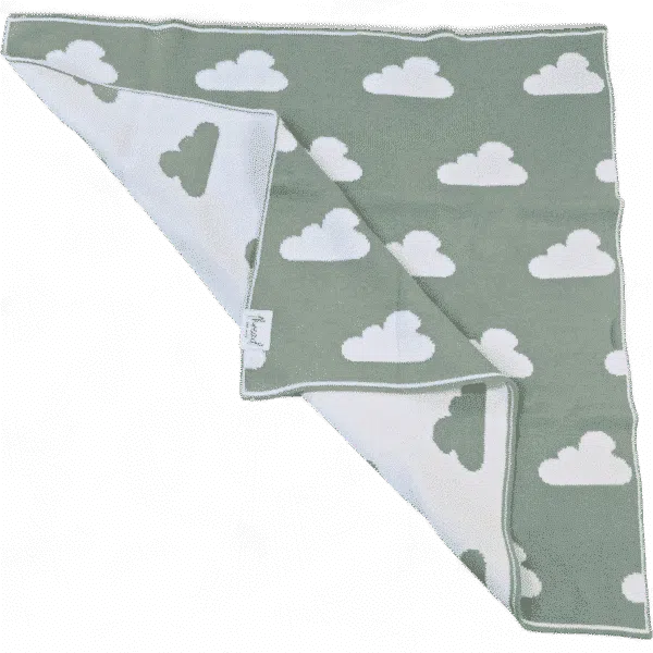 Preemie Blanket - Sage Cloud